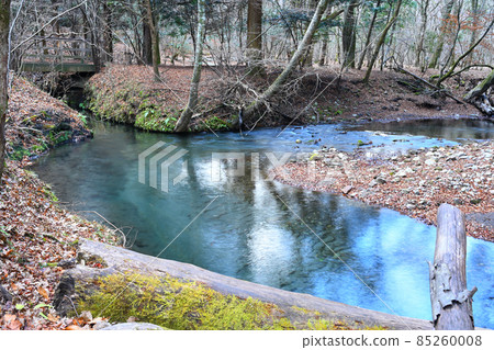 Male pond Male pond 85260008