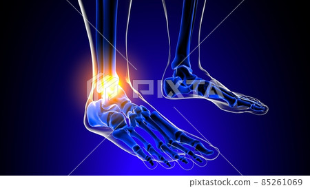 Ankle joint pain Anatomy For Medical Concept 3D 85261069