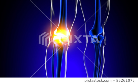 Knee joint pain Anatomy For Medical Concept 3D Knee joint pain Anatomy For Medical Concept 3D 85261073