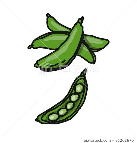 Illustration of snap peas (snack peas, peas). 85261670