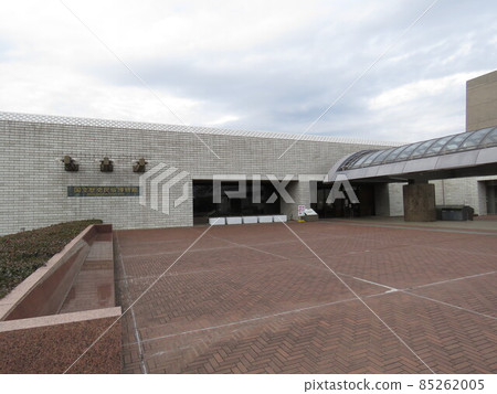 Sakura walk 85262005