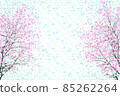 Two weeping cherry blossoms in full bloom 85262264