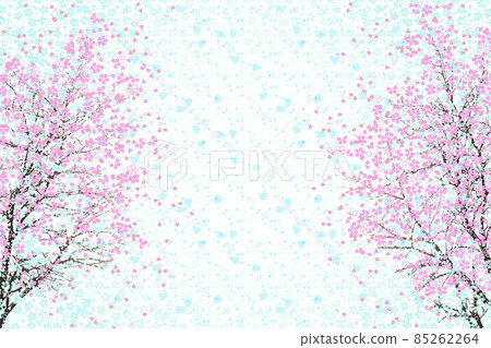Two weeping cherry blossoms in full bloom Two weeping cherry blossoms in full bloom 85262264