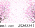 Two weeping cherry blossoms in full bloom 85262265