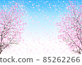 Two weeping cherry blossoms in full bloom 85262266