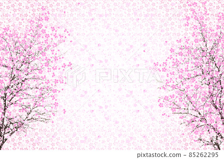 Cherry blossoms dyed in pink Cherry blossoms dyed in pink 85262295