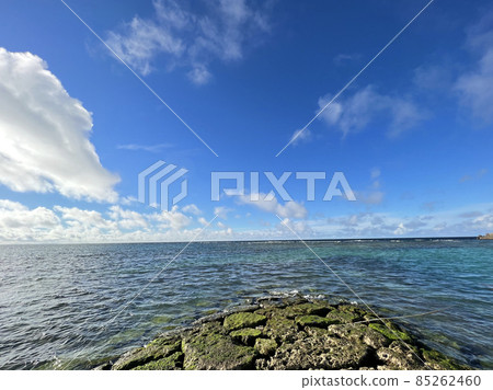 Scenery of Okinawa Ginowan Seaside Park Scenery of Okinawa Ginowan Seaside Park 85262460