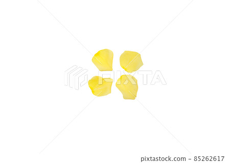 Rose yellow yellow rose yellow rose rose rose Rose yellow yellow rose yellow rose rose rose 85262617