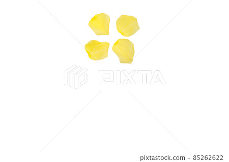 Rose yellow yellow rose yellow rose rose rose Rose yellow yellow rose yellow rose rose rose 85262622