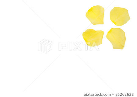 Rose yellow yellow rose yellow rose rose rose Rose yellow yellow rose yellow rose rose rose 85262628