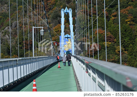 秋季茨城遠足 龍神大吊橋 蹦極跳 秋季茨城遠足 龍神大吊橋 蹦極跳 85263176