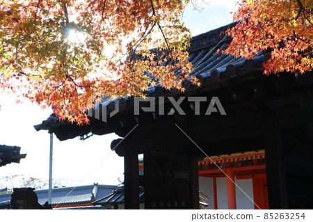 A landscape with a white shining sun, a blue sky, a white sky, autumnal maple trees, and a mountain gate 85263254