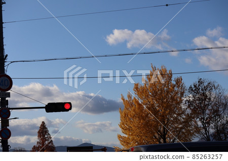 藍天、雲彩、紅燈、路標、汽車、電線、黃銀杏樹、秋季水杉、冬枯樹、山景 85263257