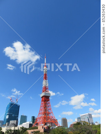 Tokyo Tower seen from Shiba Park Tokyo Tower seen from Shiba Park 85263430