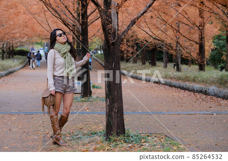 Walking in autumn 85264532