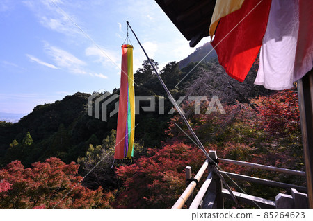 秋天的寶津峽，紅葉名勝大比角仙光寺 85264623
