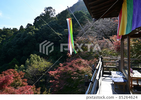 秋天的寶津峽,紅葉名勝大比角仙光寺 秋天的寶津峽,紅葉名勝大比角仙光寺 85264624