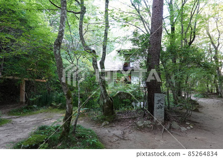 Tianshan Bunko (September 2021) Tianshan Bunko (September 2021) 85264834