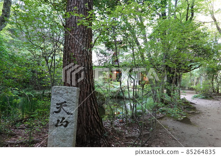 Tianshan Bunko (September 2021) Tianshan Bunko (September 2021) 85264835