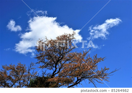 Cloud flow Nishiizu Cloud flow Nishiizu 85264982