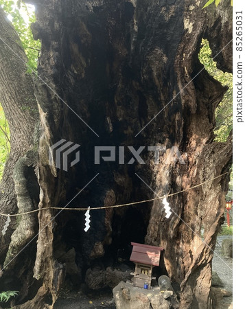 熱海神穀神社Okami 85265031