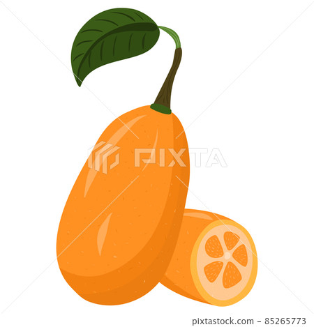 Cartoon illustration with colorful kumquat. Farm market product. Vector hand drawn graphic. Single isolated art. Cartoon illustration with colorful kumquat. Farm market product. Vector hand drawn graphic. Single isolated art. 85265773