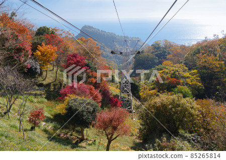 Autumn leaves and Suruga Bay on the Nihondaira Ropeway Autumn leaves and Suruga Bay on the Nihondaira Ropeway 85265814