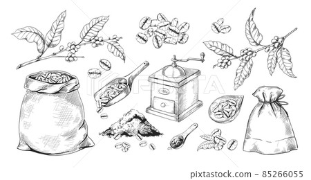 Engraved blend coffee. Hand drawn tree branch with beans. Full sack of Arabica and vintage grinder sketch. Aromatic powder heap. Retro mill and spoons. Vector isolated elements set Engraved blend coffee. Hand drawn tree branch with beans. Full sack of Arabica and vintage grinder sketch. Aromatic powder heap. Retro mill and spoons. Vector isolated elements set 85266055