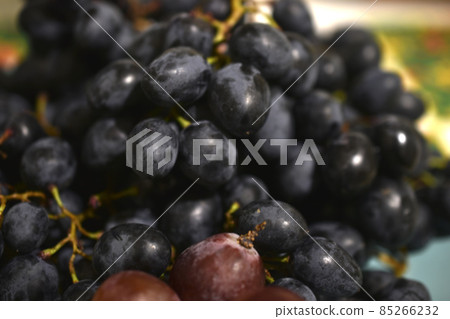 Juicy black grapes on a plate in the shade Juicy black grapes on a plate in the shade 85266232