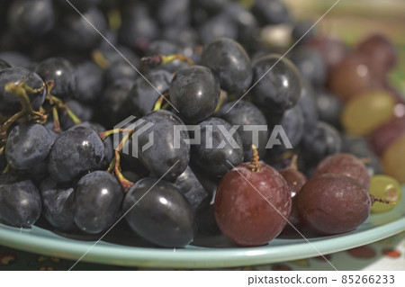 Juicy black grapes on a plate in the shade Juicy black grapes on a plate in the shade 85266233