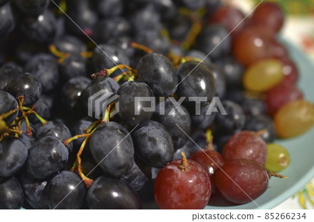 Juicy black grapes on a plate in the shade Juicy black grapes on a plate in the shade 85266234