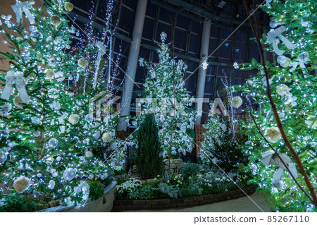 Winter Denpark, Christmas Display <Anjo City, Aichi Prefecture> Winter Denpark, Christmas Display <Anjo City, Aichi Prefecture> 85267110