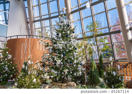 Winter Denpark, 聖誕節展示 <愛知縣安城市> Winter Denpark, 聖誕節展示 <愛知縣安城市> 85267114