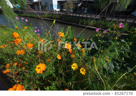 Sawara的風景 Sawara的風景 85267170