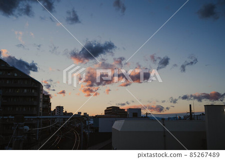 Twilight in Tokyo 85267489