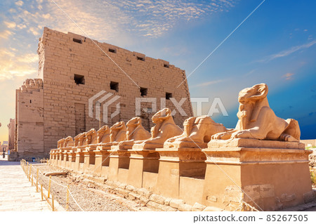 Avenue of ram-headed Sphinxes and the wall of Karnak Temple, Luxor, Egypt 85267505