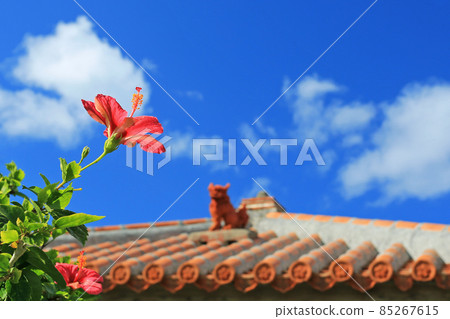 Mensore Okinawa Blue sky, red hibiscus and shisa 85267615