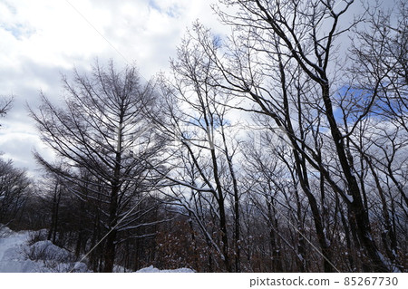 National Park. Hambak Mountain. Snow Scenery 85267730