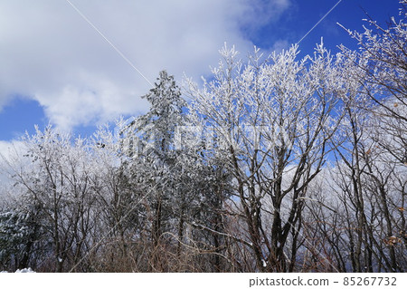National Park. Hambak Mountain. Snow Scenery 85267732