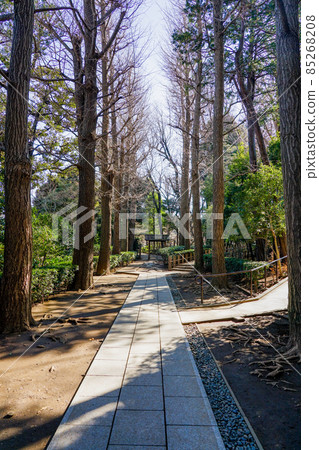大田郎公園（東京都杉並區）與冬天有一排銀杏樹的音樂家大田郎元雄有關 85268208