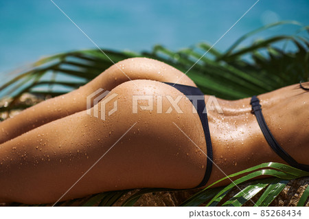 Close-up Female Unrecognizable Tanned Back and Buttocks in Black Bikini With Palm Leaf on Rocky Beach During Summer Vacation Outdoors Close-up Female Unrecognizable Tanned Back and Buttocks in Black Bikini With Palm Leaf on Rocky Beach During Summer Vacation Outdoors 85268434