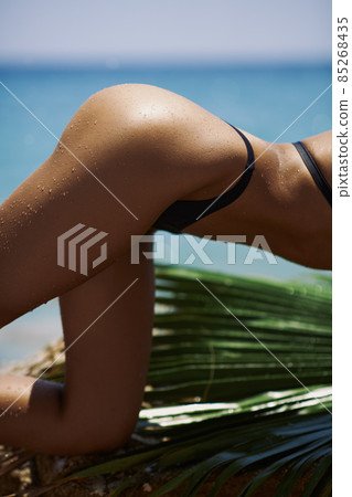 Close-up Female Unrecognizable Tanned Back and Buttocks in Black Bikini With Palm Leaf on Rocky Beach During Summer Vacation Outdoors Close-up Female Unrecognizable Tanned Back and Buttocks in Black Bikini With Palm Leaf on Rocky Beach During Summer Vacation Outdoors 85268435