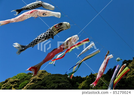 Carp streamer Shimoda Carp streamer Shimoda 85270024