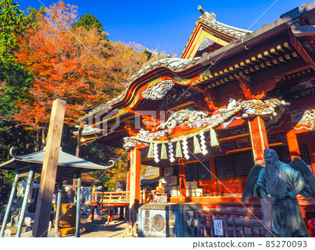 [Tokyo] Autumn leaves of Takaoyama Yakuouin 85270093