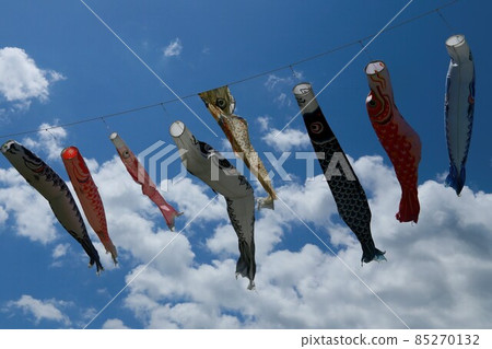 Carp streamer Shimoda Carp streamer Shimoda 85270132