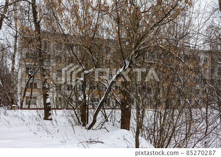 Gray Soviet pGray Soviet panel house in winter hides behind treesanel house in winter hides behind trees. High quality photo 85270287