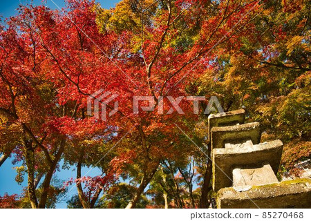 Stone pagoda and crimson autumn leaves Stone pagoda and crimson autumn leaves 85270468