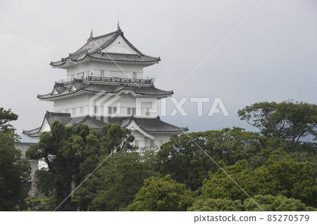 Odawara Castle (Odawara City, Kanagawa Prefecture) Odawara Castle (Odawara City, Kanagawa Prefecture) 85270579