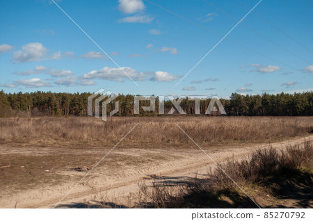 The road in the forest: there is a rough sandy road. . The road in the forest: there is a rough sandy road. . 85270792