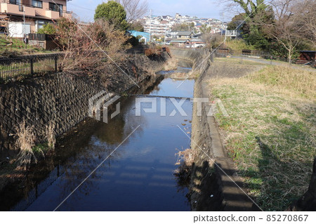 The scenery of the forest of the citizens of Masagari_1 85270867